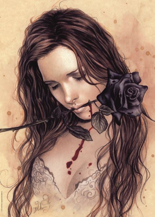 DARK ROSE - V. FRANCES -