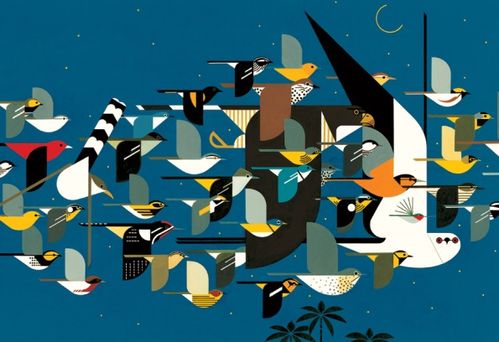 MYSTERY OF THE MISSING MIGRANTS-CHARLEY HARPER