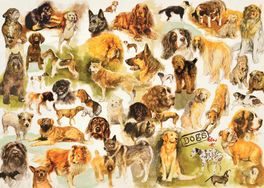 DOGS POSTER