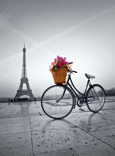 ROMANTIC PROMENADE IN PARIS