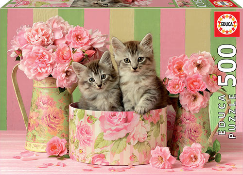 GATITOS CON ROSAS