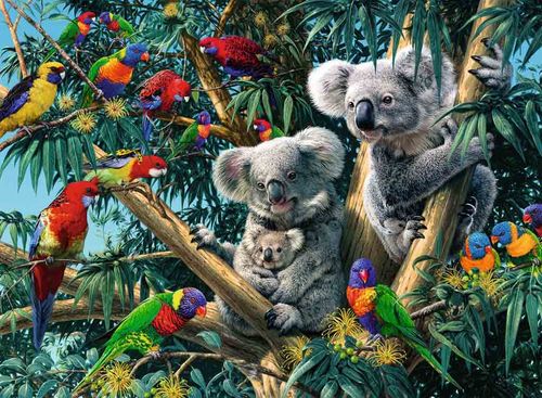 KOALAS EN EL ARBOL