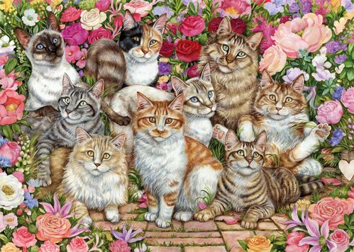 FLORAL CATS