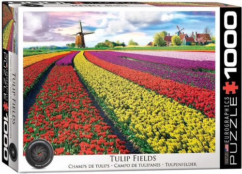 CAMPOS DE TULIPANES - HOLANDA