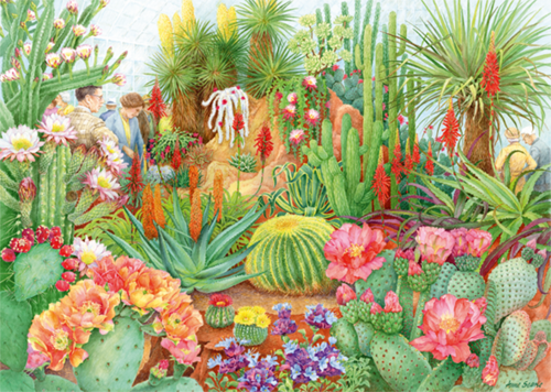 THE FLOWER SHOW:  DESERT PLANTS