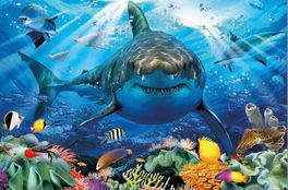 GRAN TIBURÓN BLANCO