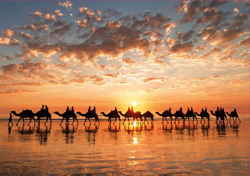 ATARDECER DORADO EN CABLE BEACH