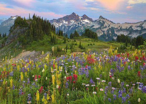 MONTAÑAS TATOOSH