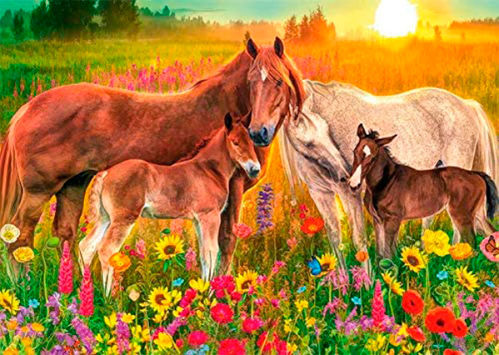HORSES IN THE MEADOW