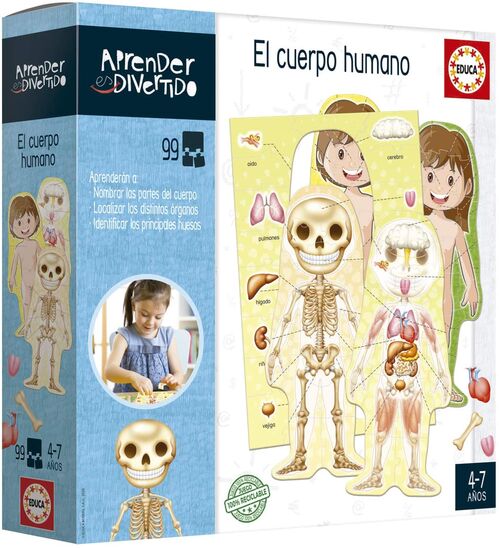 EL CUERPO HUMANO