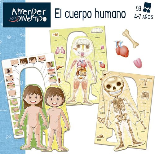 EL CUERPO HUMANO