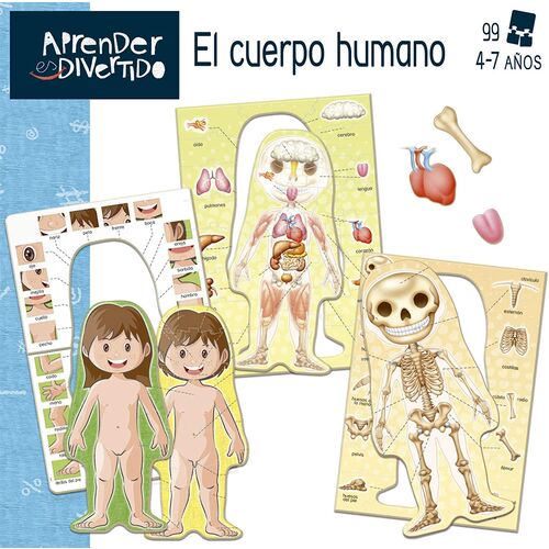 EL CUERPO HUMANO