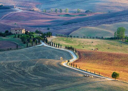 PODERE TERRAPILLE. PIENZA. SIENA. TOSCANA