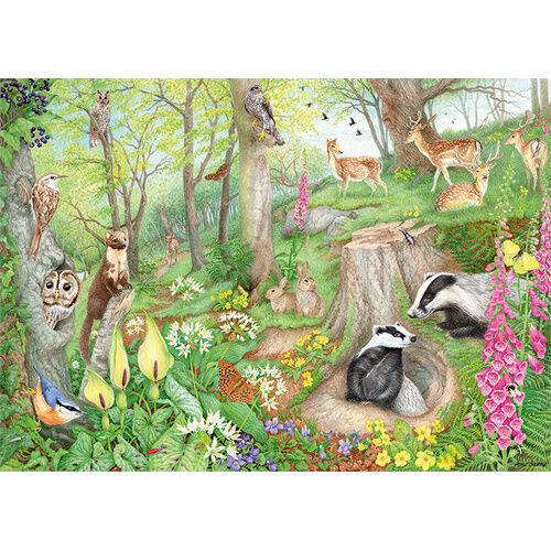 WOODLAND WILDLIFE