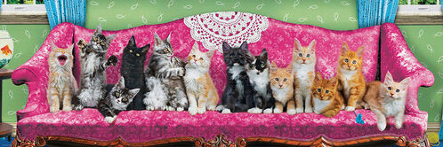 KITTY CAT COUCH