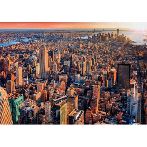 NEW YORK CITY