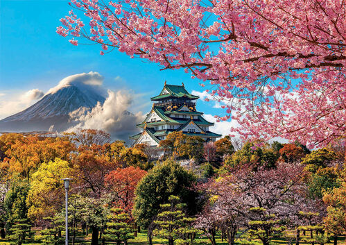 CASTILLO DE OSAKA JAPON