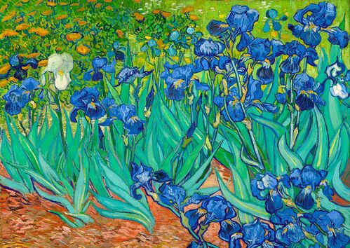 IRIS DE VAN GOGH