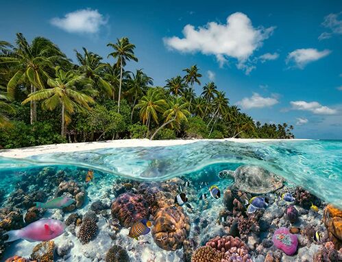 UN BUCEO EN LAS MALDIVAS