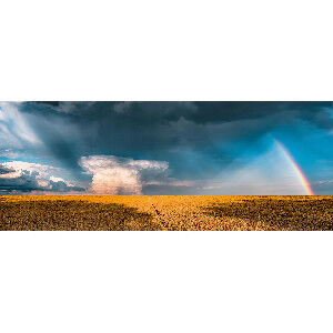 CAMPOS DESPUES DE LA TORMENTA