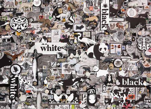 BLACK AND WHITE ANIMALS